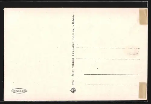 AK Wernigerode am Harz, Schloss Wernigerode, Fliegeraufnahme