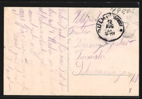 AK Ulm a. D., Münster, Stadtpanorama