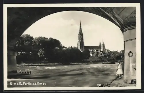 AK Ulm a. D., Partie a. d. Donau