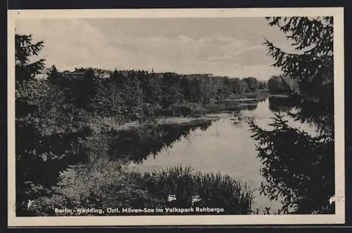 AK Berlin-Wedding, Östl. Möven-See im Volkspark Rehberge