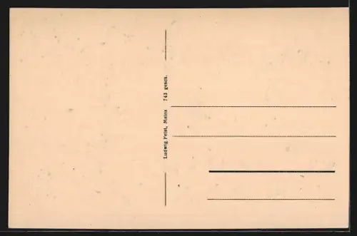 AK Bad Münster am Stein, Totalansicht
