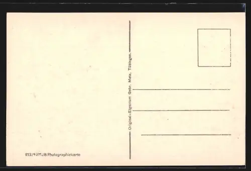 AK Titisee /bad. Schwarzwald, Schwarzwald Hotel, Seeansicht