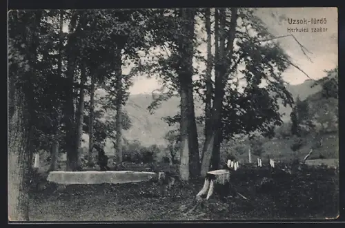 AK Uzsok-fürdö, Herkules szobor