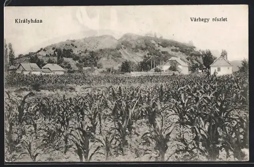 AK Királyháza, Várhegyi részlet, Totalansicht