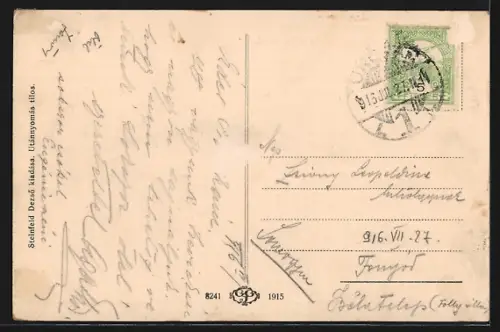 AK Ungvar, Neviczkei varreszlet a parkbol