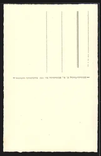 AK Hildesheim, Knochenhaueramtshaus, Rolandbrunnen