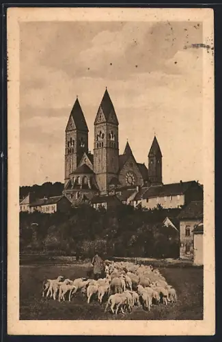 AK Bad Homburg v. d. Höhe, Blick auf die Erlöserkirche, Schafherde