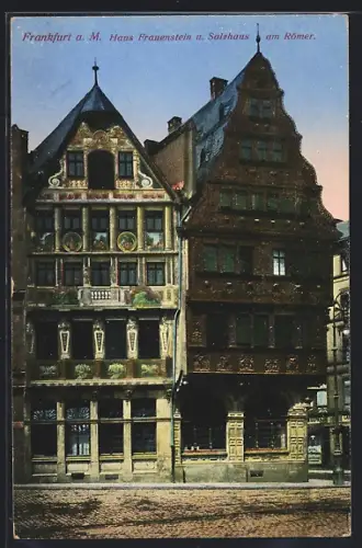 AK Alt-Frankfurt, Haus Frauenstein, Salzhaus, am Römer