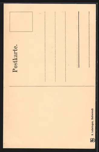 AK Goslar, Brusttuch