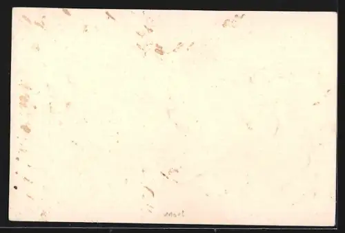 AK Nürnberg, Neues Stadt-Theater, Wappen, In Treue fest