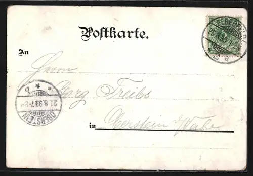 Mondschein-Lithographie Elberfeld, Zoologischer Garten, Stadthalle auf dem Johannisberg, Haardt