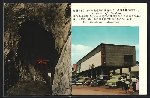 AK Enoshima, A Cave, The Enoshima Acquarium