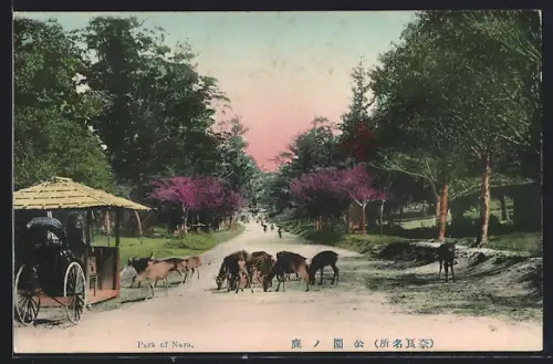 AK Nara, Park of Nara