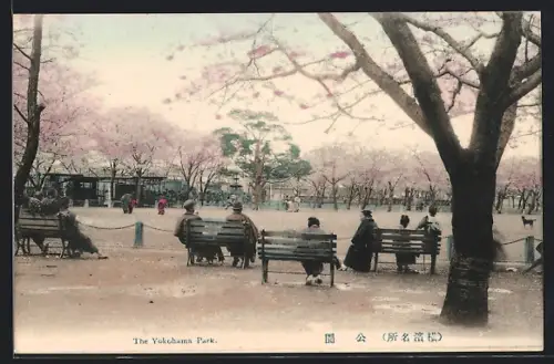 AK Yokohama, The Yokohama Park