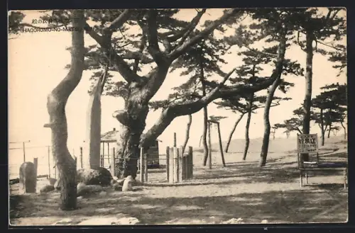 AK Miho, Hagoromo-no-Matsu