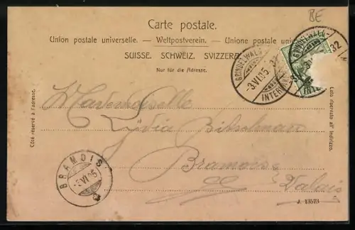 Lithographie Wilderswyl, Hotel-Pension Jungfrau, Totalansicht mit Gebirge