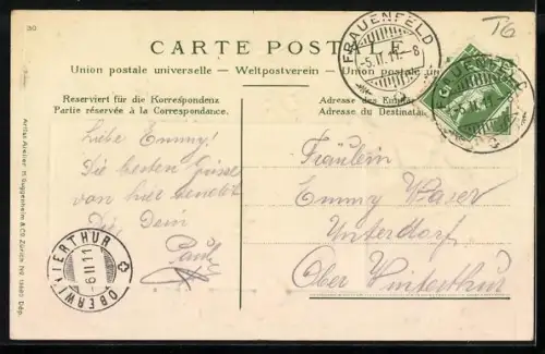 AK Frauenfeld, Teilansicht, Veilchen, Passepartout