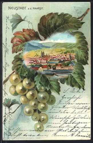 Passepartout-Lithographie Neustadt a. d. Haardt, Teilansicht im Weinblatt mit Trauben