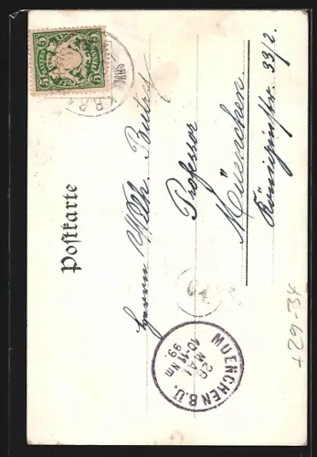 Passepartout-Lithographie Neustadt a. d. Haardt, Teilansicht im Weinblatt mit Trauben