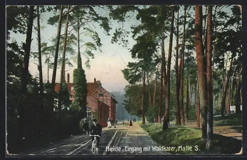 AK Halle / Saale, Heide, Eingang mit Waldkater