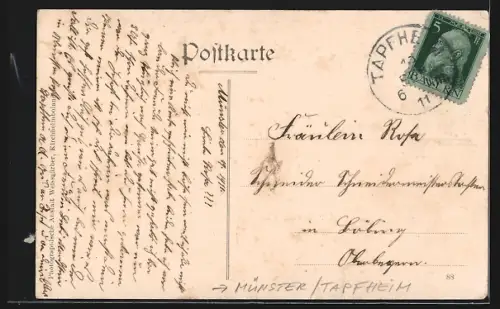 AK Münster /Tapfheim, Totalansicht, Hauptaltar der Pfarrkirche