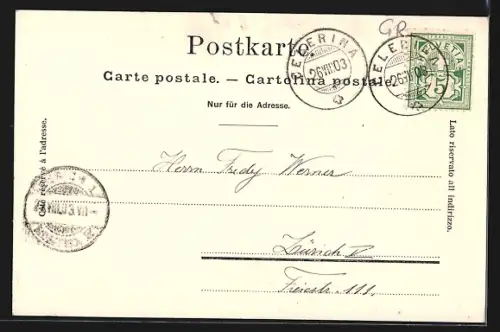 AK St. Moritz, Restaurant Waldschlösschen beim Innfall