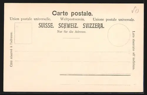 AK Schönenwerd, Pfahlbauten