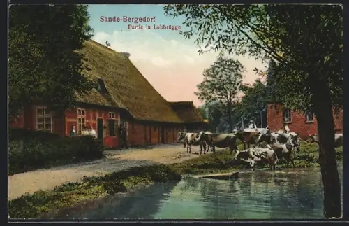 AK Hamburg-Sande, Partie in Lohbrügge mit Kühen