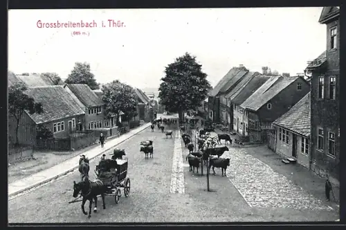 AK Grossbreitenbach i. Thür., Strassenpartie mit Rindern