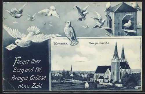 AK Göppingen, Oberhofenkirche, Brieftauben am Vogelhaus, Passepartout