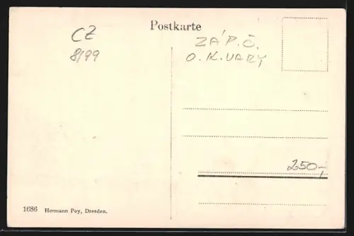 AK Karlsbad, Westend, Strassenpartie