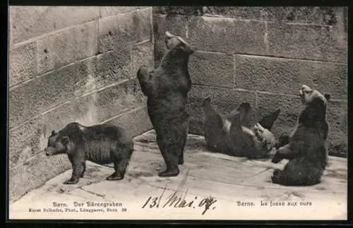 AK Bern, Der Bärengraben