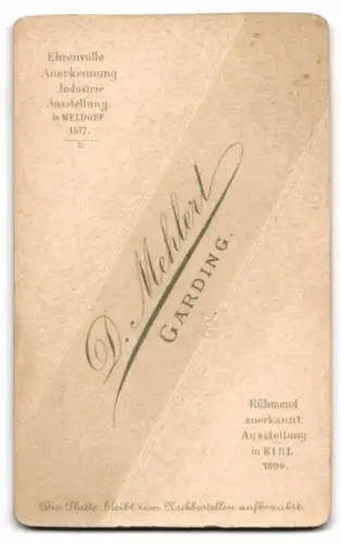 Fotografie D. Mehlert, Garding, Elegantes Paarporträt