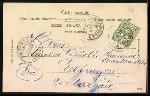 AK Tägerwilen, Schulhaus mit Strassenpartie