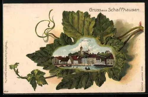 Passepartout-Lithographie Schaffhausen, Munoth im Weinblatt-Passepartout