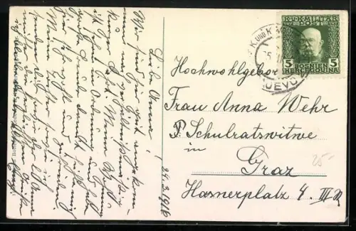 AK Sarajevo, Panorama