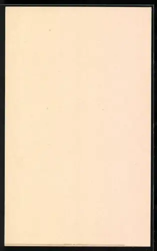 AK Mostar, Karadzibeg-Moschee