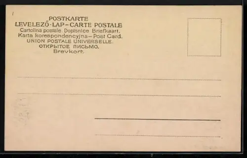 AK Sarajevo-Altfakovac, Ortsansicht mit Brücke