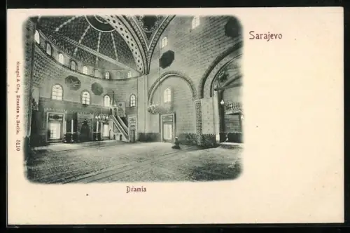 AK Sarajevo, Dzamia
