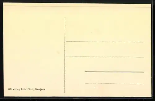 AK Sarajevo, Zemaljska vlada