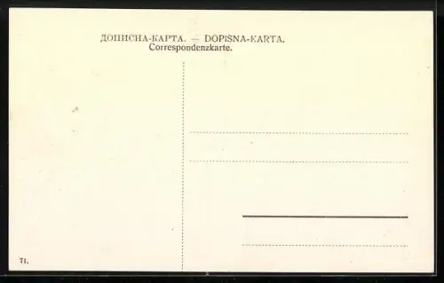 AK Sarajewo, Ortsansicht aus der Vogelschau