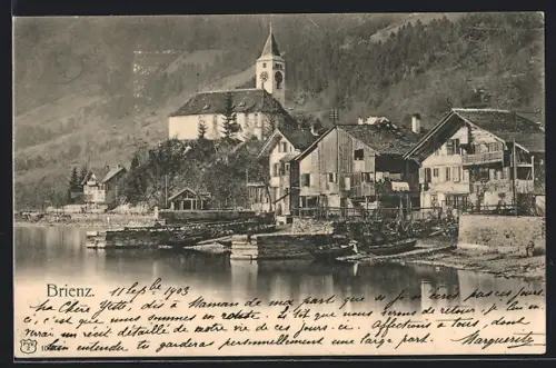 AK Brienz, Panorama mit Uferblick