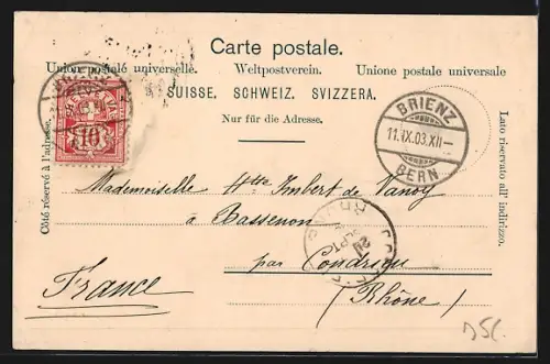 AK Brienz, Panorama mit Uferblick