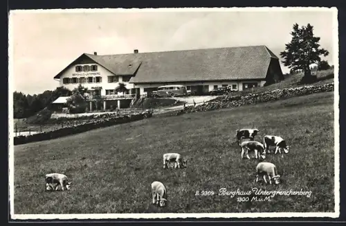 AK Bettlach /SO, Untergrenchenberg, Hotel Berghaus Untergrechenberg mit Kühen