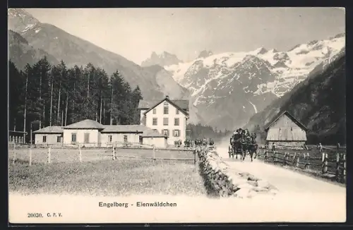 AK Engelberg /OW, Eienwäldchen mit Pferdewagen
