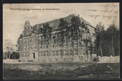 AK Hamburg-Bergedorf, Neue Stadtschule am Birkenwäldchen