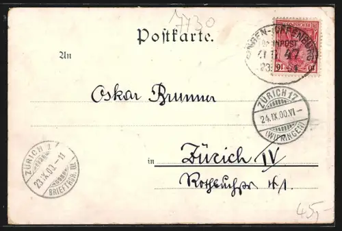 Lithographie Villingen / Baden, Altes Rathaus, Anlagen & Lehrfraueninstitut