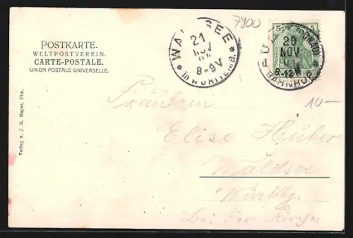 AK Ulm / Donau, Von Neu-Ulm gesehen, Münster