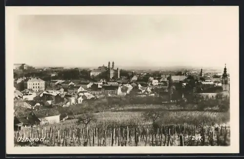 AK Uzhorod, Panorama mit Kirche