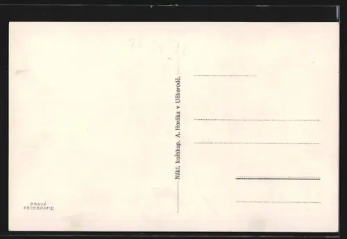 AK Uzhorod, Panorama mit Kirche